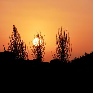 Territorio: La bellezza dei tramonti e della natura